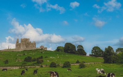Der perfekte Irland Roadtrip