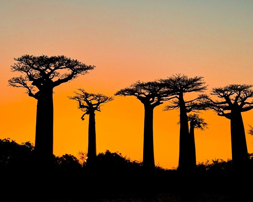 Wie reist man am besten durch Madagaskar?